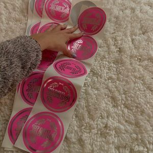 Bundle of 30 VS PINK Stickers